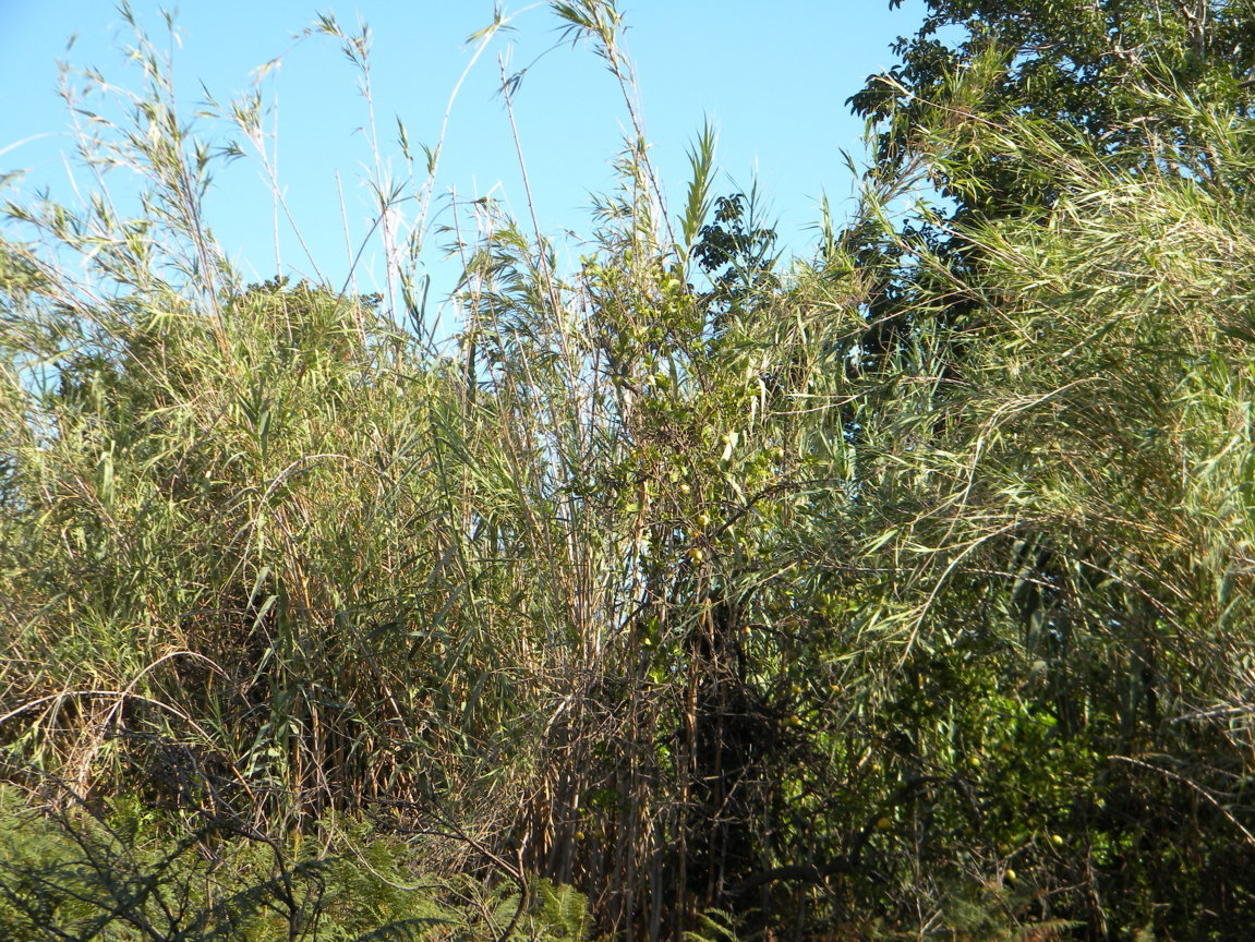 DSCN8146 .JPG